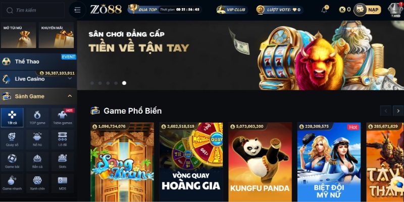 Hướng dẫn cá cược